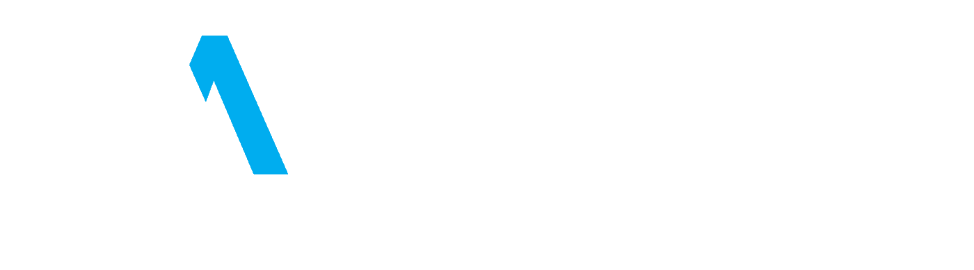 AUDIT — Auditor Bağımsız Denetim Danışmanlık A.Ş.